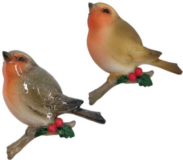 Bird Product