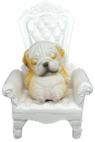 Dog Product