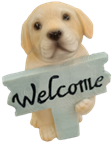 Dog Product
