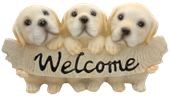 Dog Product
