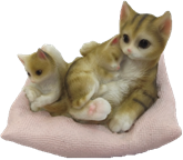 Cat Product