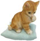 Cat Product