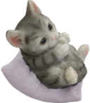 Cat Product