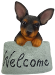 Dog Product