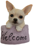 Dog Product
