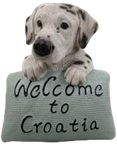 Dog Product