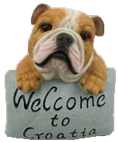 Dog Product