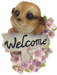 Meerkat Product