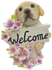 Dog Product
