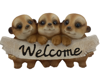 Meerkat Product