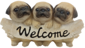 Dog Product