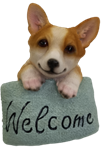 Dog Product