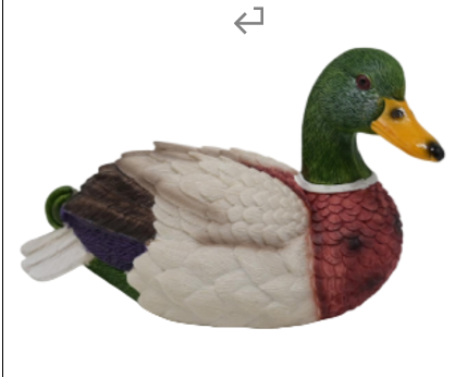 Duck Product