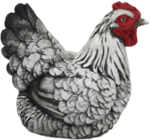 Chicken Product