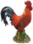 Chicken Product