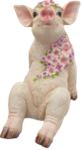 Pig Product