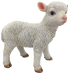 Sheep Product