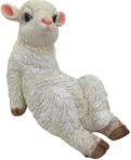 Sheep Product