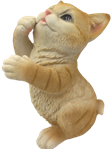 Cat Product
