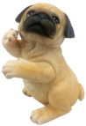 Dog Product
