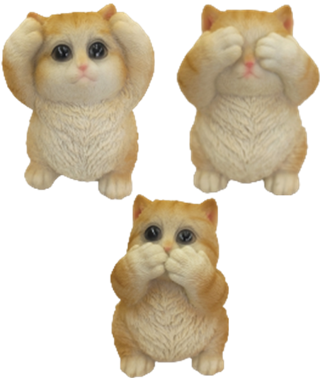 Cat Product