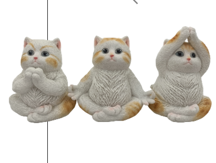 Cat Product