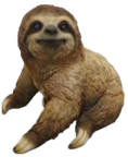 Sloth Product