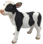 Cattle Product
