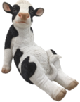 Cattle Product