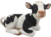 Cattle Product