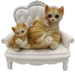 Cat Product