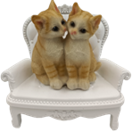 Cat Product