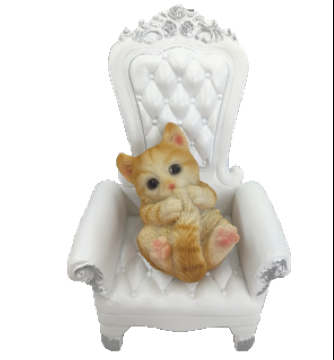 Cat Product