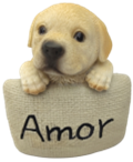 Dog Product