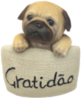 Dog Product