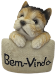Dog Product