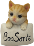 Cat Product