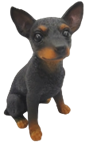 Dog Product