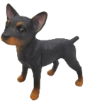 Dog Product