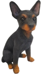 Dog Product