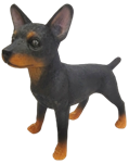 Dog Product