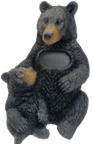 Black Bear Product