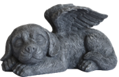 Dog Product