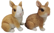 Rabbit Product