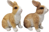 Rabbit Product