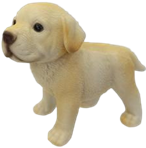 Dog Product