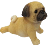 Dog Product