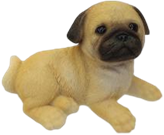 Dog Product