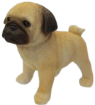 Dog Product