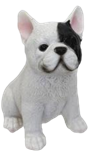 Dog Product